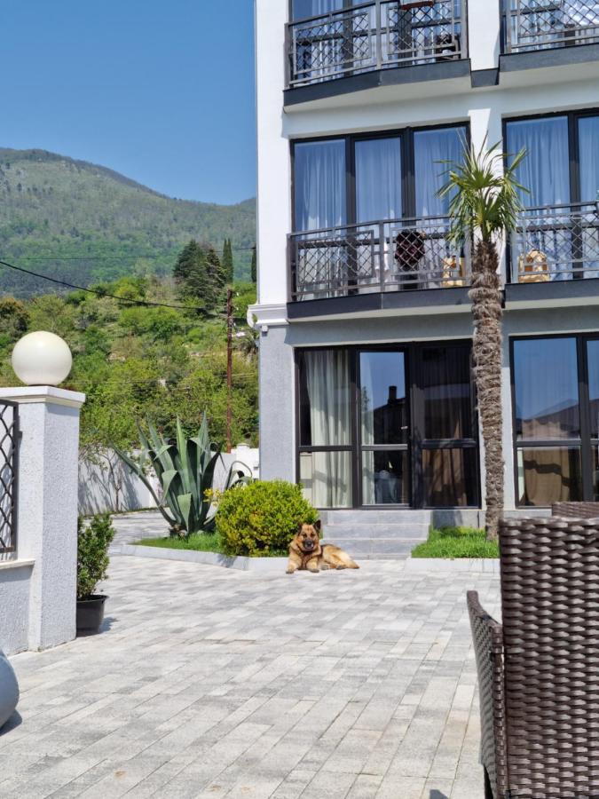 Gega Hotel Гагра Екстериор снимка