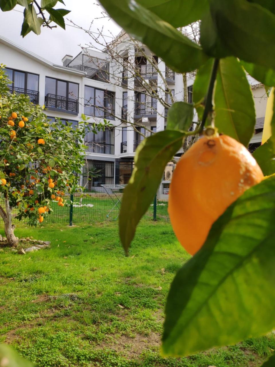 Gega Hotel Гагра Екстериор снимка